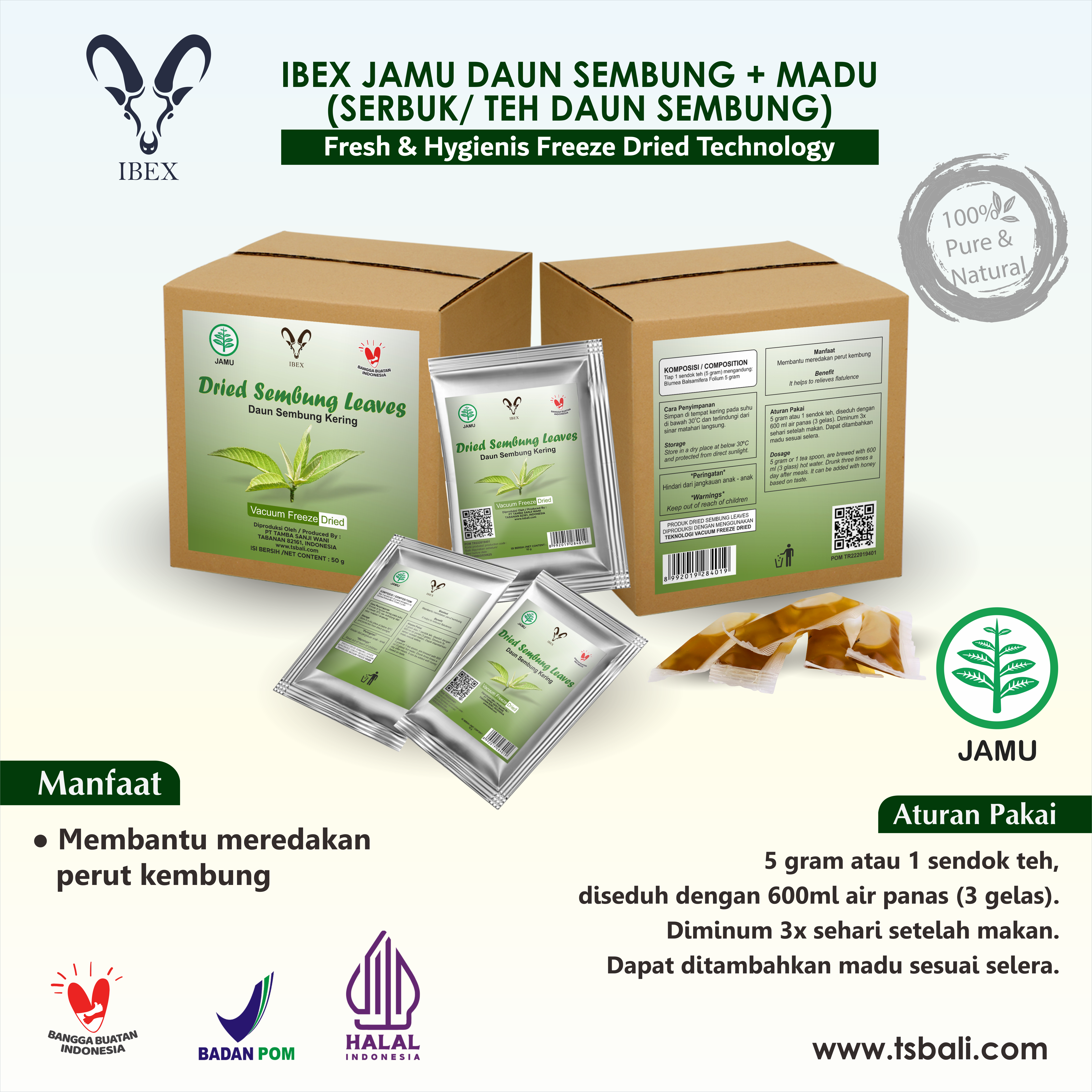 Jamu Daun Sembung Leaflet