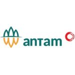 011-Pt-Aneka-Tambang-Persero-Tbk