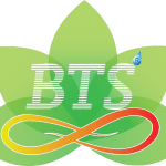 LOGO_BTStar-removebg-3