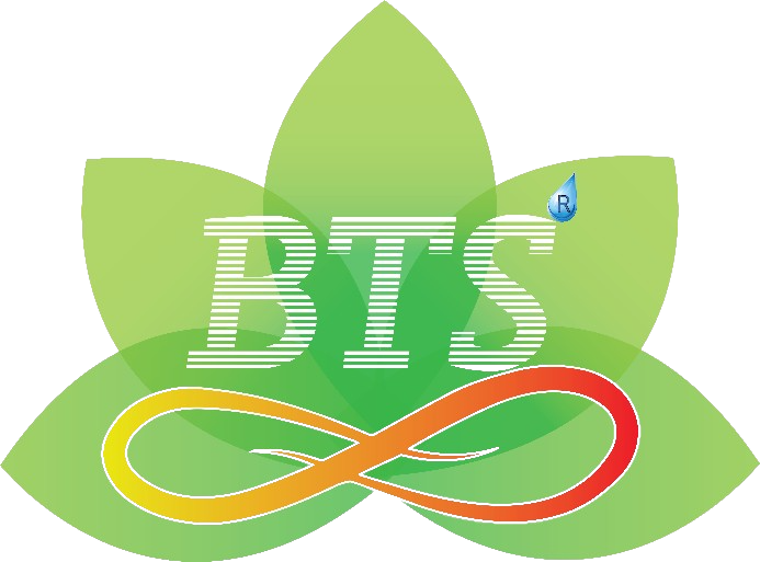 LOGO_BTStar-removebg-3